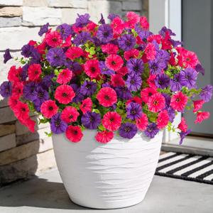 ADXORA 12 Bundles Morning Glory Artificial Flowers for Outdoor Decoration UV Resistant Fake Plastic Plants Artificial Greenery for Indoor Outdoor Garden Patio Window Box Home Decor