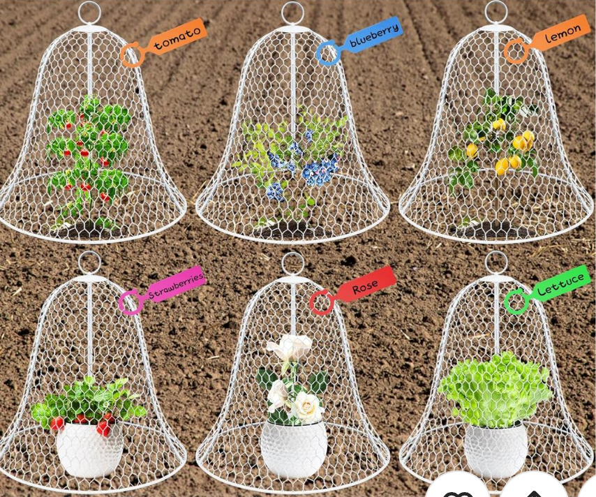 OZMI Garden Chicken Wire Cloches for Plants Protectors from Animals 16" D x 12" H 6 Pcs Rustproof Plant Cages for Outdoor Vegetable Flowers Garden Large Assemble-able Metal Cloches White