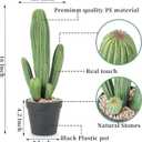 Artificial Cactus Fake Cacti 16" Faux Potted Cactus Plants for Home Store Office Decoration