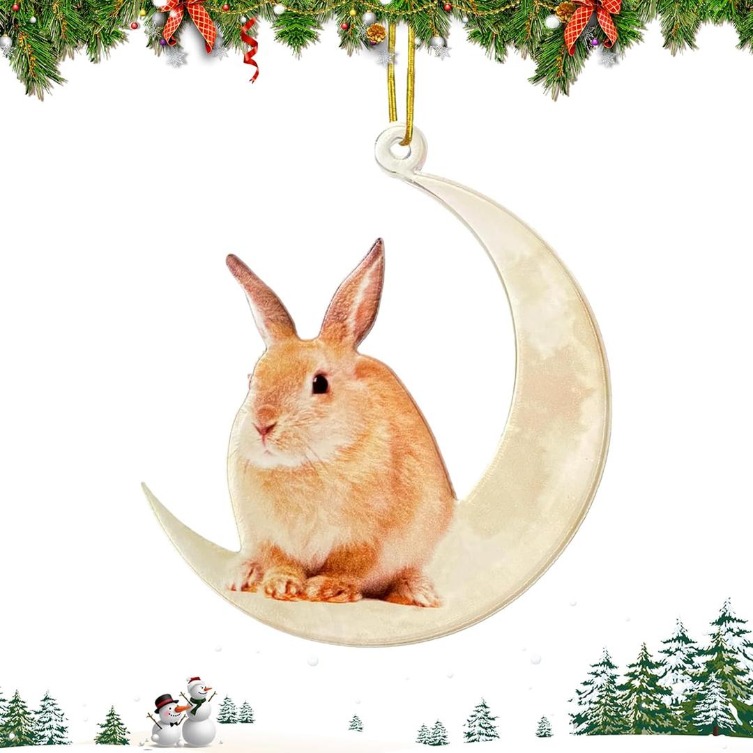 Christmas Tree Decorations, Acrylic Christmas Tree Ornaments, Double-Printed Animal Hanging for Christmas Tree, Home Decor, Children's Gifts (Rabbit)