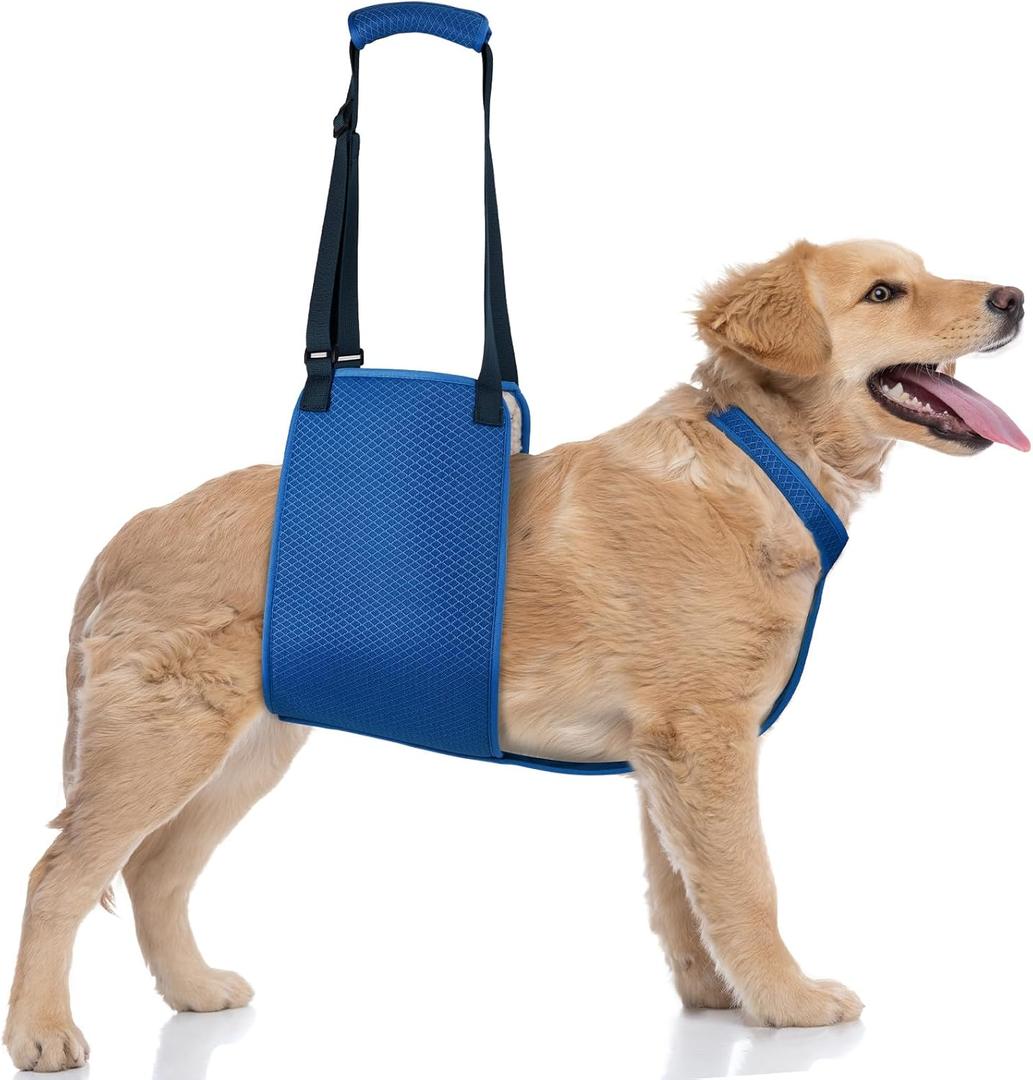 Adjustable Dog Lift Harness with Fixing Strap, Lift Sling for Large Dogs Hind Leg Support, Soft Rehab Harness for Weak Rear Legs, Ideal for Senior, Injured, Disabled Dogs and Surgery Recovery (L)