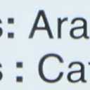 Tim Hortons Whole Bean Original Blend (coffee) (10.6 Ounce (Pack of 1))