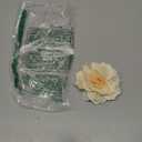 Camellias Flower Hair Clip and Brooch Pin 1 PCS(Cream) (A74)