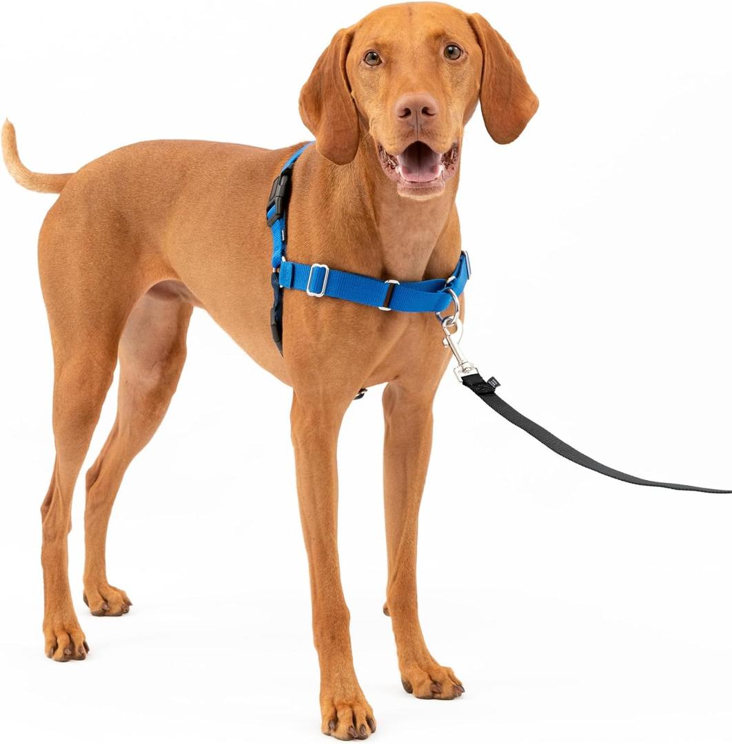 PetSafe Easy Walk No-Pull Dog Harness - The Ultimate Harness to Help Stop Pulling - Take Control & Teach Better Leash Manners - Helps Prevent Pets Pulling on Walks, Medium, Royal Blue/Navy Blue