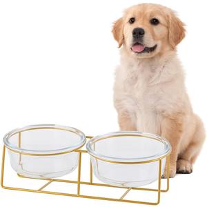 Elevated Dog Bowl Set of 2 - Double Glass Bowls with Gold Iron Stand - Raised Dishes Comfortable Feeding - Ideal for Small to Medium Sized Dogs (Large)