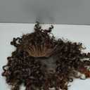 Fancy Hair Braided Wig Cornrow with Curly Hair Wig HD Lace Front Wig with Baby Hair Pre Plucked Glueless Transparent 13x4 Inch Ombre Brown Wig for Black Women