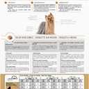 Royal Canin Breed Health Nutrition Yorkshire Terrier Adult Dry Dog Food, 2.5 lb Bag (EXP 07/31/26)