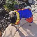 Dog Clown Costume Dog Halloween Costume Small Dog Halloween Cosplay Party | Funny Clown Dogs Cosplay Costumes Small Dogs Clothes Cat Apparel for Small Pets Halloween Party Photo Props, S