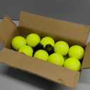 Tennis Balls, 20 Pack Training Tennis Balls,High Elasticity Practice Tennis for Beginner, Exercise Playing Balls for Pet Dog (Yellow)