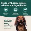 Jinx Salmon Grain Free Wet Dog Food Toppers, Meal or Mix with Dry Dog Food, Made with Real Salmon & Chicken, Bone Broth, No Fillers, Puppy, Adult, Senior, 9oz, 6 Pack