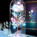 Beferr Gifts for Women Mom Birthday Gifts Galaxy Glass Rose Forever Preserved Flowers for Delivery Prime Artificial Eternal Rose in Glass Dome Mothers Day Moms Gift for Grandma Wife Daughter, Rainbow