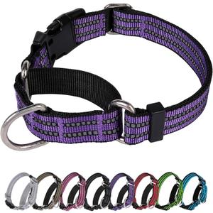Martingale Dog Collar, Adjustable Nylon Reflective Collar with Buckle No Pull Dog Collar for Small Medium Large Dogs (Purple M)