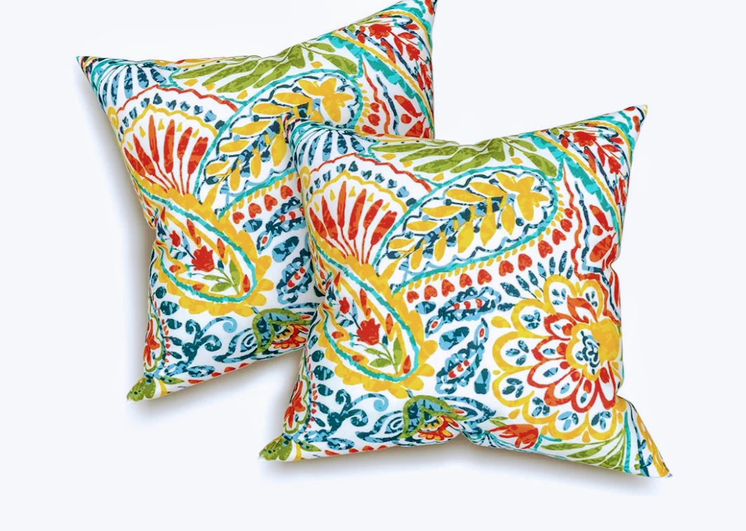 Pack of 2 Patio Throw Pillow Covers ONLY, Water Repellent Cushion Cases 20x20 Inch, Square Pillowcases for Outdoor Couch Decoration, Paisley Multi