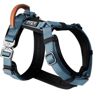 MADE TO ROAM Premium Explorer Harness - Y-Shaped Dog Harness with Adjustable Durable Nylon, Soft Padding, Metal Buckles and Leather Handle for Small, Medium, Large Dogs (California Horizon, Size 7)