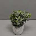 Hopewood Faux Plants, Small Fake Plant for Bathroom, Decorative Artificial Plants for Farmhouse Desk Shelf Decor with A Weave Basket (9.8inch)