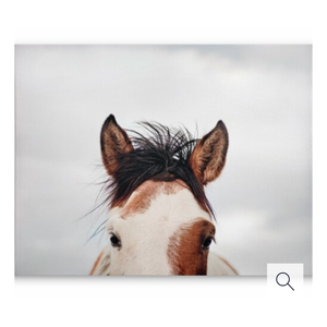 JLA Home It's in the Eyes Printed Canvas - 28 x 22 in