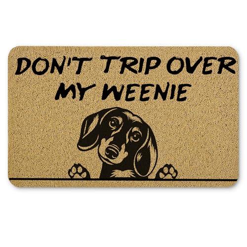 Qnhij Weiner Dog Door Mat, Funny Dachshund Door Mat, Weiner Dog Decor, Dachshund Doormat Outdoor, 17x30 Inches