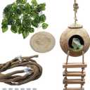 PINVNBY Crested Gecko Coco Hut with Ladder Natural Lizard Coconut Shell Hideout Home Mini Condo for Reptiles Durable Cave Habitat with Hanging Loop Coconut Texture Provide Food for Pets