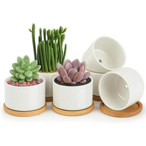 ZOUTOG Ceramic Succulent Pots,3.6 Inch Plant Pots,Succulent Planters with Drainage Hole & Bamboo Tray for Indoor Plants,White Small Flower Planters for Home,Office,Desk(6 Pack)