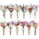 WGXX 10/12/24/36 Pack Mini Dried Flowers for Vase Wedding Various Mini Bouquet Dried Small Wildflowers Natural Flowers Bulk for Crafts DIY Decor (12, Romantic Colour)