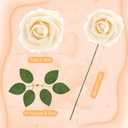 2 x 100 Pcs Artificial Foam Rose Flower Faux Bouquet Wedding Fake Rose Gift for Mother's Day Women DIY Bridal Shower Party Table Birthday Home Spring Decor (Champagne)