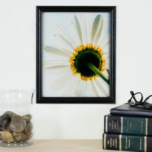 17x21 inch Satin Black Picture Frame with 2 Inch Single Porcelain Mat, 2 Pack