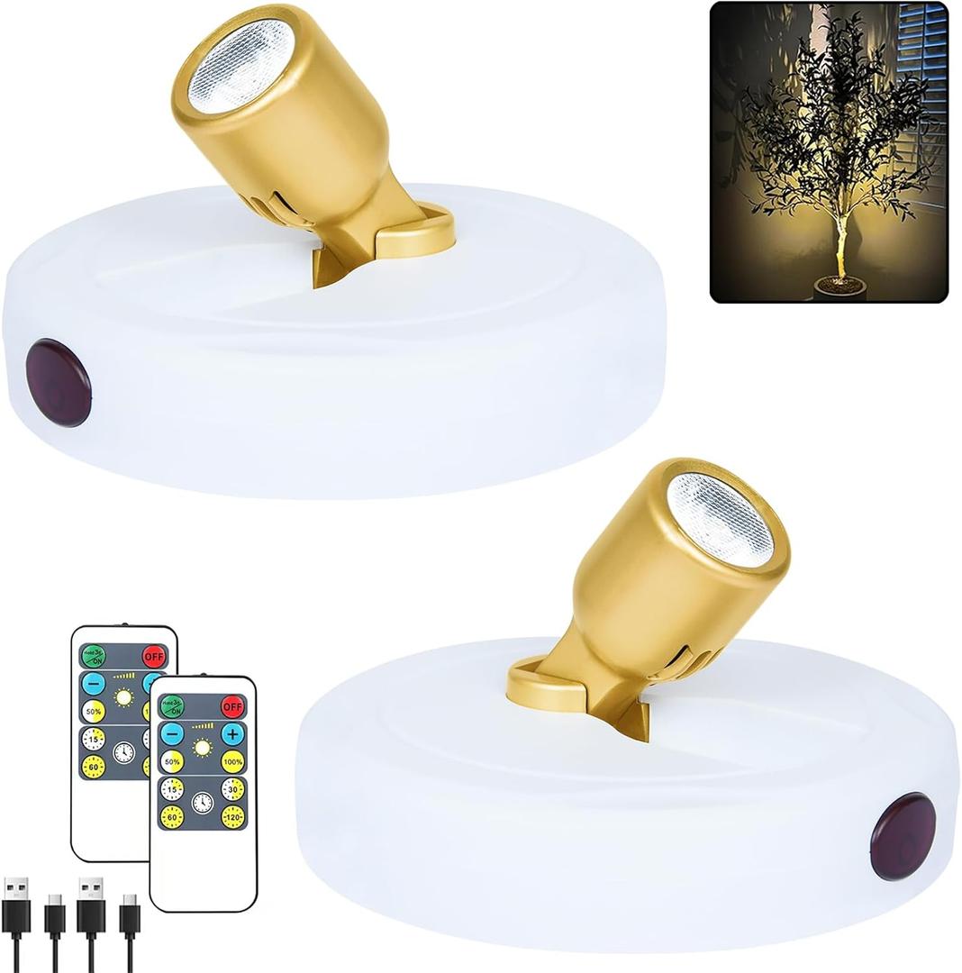LED Spotlight, Rechargeable Battery Picture Lights, Uplighting Indoor with Remote, Stick Spot Lights for Wall Display Dartboard Painting Artwork Accent-2pcs (Chargeable White Gold)