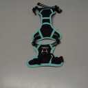 rabbitgoo Dog Harness No Pull with 2 Leash Clips, Adjustable Soft Padded, Reflective Oxford No Choke Pet Vest with Easy Control Handle for Puppy, Black & Turquoise, XS