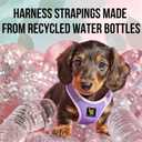 EcoBark Premium Quality Step in Dog Harness - Teacup Dog Harnesses - Perfect Puppy Harness - Luxury Soft Mesh Step in Vest - No Pull Mini Body Halter - Toy Breed Harnesses (XXXS, Lavender)