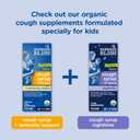 Mommy's Bliss Children's Pain and Fever Reducer, Kids Acetaminophen, Dye Free, Delicious Mixed Berry Flavor, Ages 2+, 4 Fluid Ounces (Pack of 2)