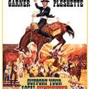 Support Your Local Gunfighter [DVD]