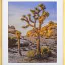 Gold 20x24 Picture Frame – Wall Hanging Poster Frame, 1-Pack