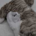 Weighted Cat Stuffed Animal 19" 2Lbs, Realistic Stuffed Cat Plush Toy Throw Pillow, Gray Weighted Stuffed Animals for Kids and Adults