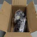 12V 8W Pair Motorcycle Rear Turn Signal Indicator Blinker Fits for Honda XL250R 1984-1987XL350R 1984-1985, NX125 1988-1990, Nighthawk 250 CB250 1992-2008, Reflex 200 TLR200 1986-198 7