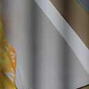 Wausau Exact Index Cardstock, 250 Sheets, White, 94 Brightness, 90 lb, 11 x 17 Inches