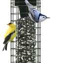 Brome Squirrel Solution 150 Squirrel-Proof Bird Feeder for Wild Birds  4 Stainless Steel Perches, 2.6 lb Seed Capacity, Chew-Proof, Free Seed Funnel Included