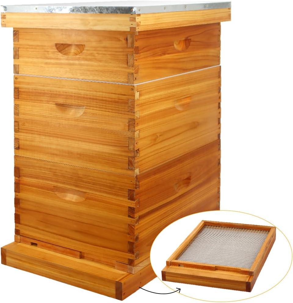 MayBee 10 Frame Screened Bottom Board Beehive Dipped in 100% Beeswax, Bee Hives Kit Includes 2 Deep Boxes & 1 Medium Box with Beehive Frames and Heavy Wax Coated Foundations.Preferred for Summer