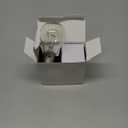 A19 Clear Incandescent Rough Service Light Bulb, 100 Watt Incandescent Light Bulbs, A19 100 WATT Bulbs 100 Watt, 2700K Soft White, E26 Medium Base, 110-130V (2 Pack)