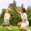 Pet Soft Female Dog Diapers - 3Pack Washable Dress-Style Dog Diapers Female for Girl Dogs in Heat - Reusable Doggy Period Panties Puppy Diaper (Floral, M) (Medium:14''-19'')