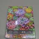 Vibrant Succulents Jigsaw Puzzles for Adults 1000 Pieces Puzzle Clearance Challenging Adult Puzzles 1000 Pieces Perfect for Game Nights Finished Size is 27.5 x 19.6 inch
