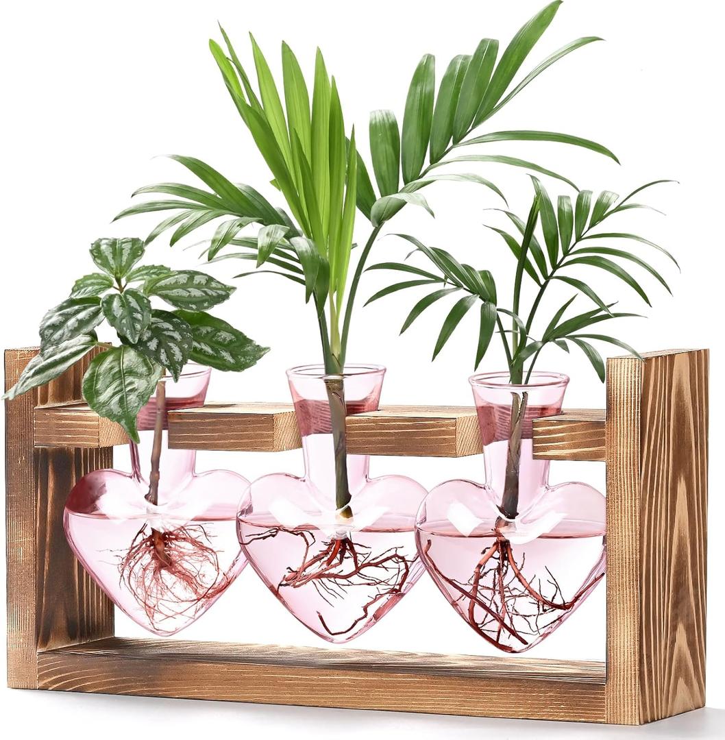 Lifecapido Heart Shaped Propagation Stations, Plant Terrarium with Wooden Stand, Plant Propagation Station for Hydroponics Plants Office Garden Home Decor, Gifts for Women Plant Lover (3 Vases, Pink) Lifecapido Heart Shaped Propagation Stations, Plant Terrarium with Wooden Stand, Plant Propagation Station for Hydroponics Plants Office Garden Home Decor, Gifts for Women Plant Lover (3 Vases, Pink)
