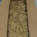 15 Pcs Gold Glitter Artificial Cedar Sprigs Picks Faux Cedar Branches Stems Christmas Tree Picks Sprays 15.4" H for Gold Christmas Tree Wreath Wedding Bouquet Winter Seasonal Holiday Decoration