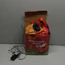 12 FT Sanlu Santa Claus Sleigh Outdoor Inflatable with LED Lights for Christmas Holiday Party Decoration, Winter Garden Decoration