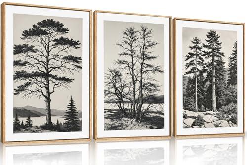 LHIUEM Large Vintage Sketch Tree Framed Wall Art Set,Antique Black and White Wall Decor,Nature Botanical Lake Artwork,Modern Wilderness Forest Art Prints for Living Room,Bedroom- 16"x24"x3