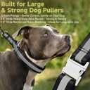 Mayerzon Martingale No Pull Collar for Large Medium Dogs, Patented Dog Walking Training Collar for Pulling, 1.5'' Wide Alloy Buckle, Neoprene Padded, Adjustable, Reflective, Easy to Use (Black, M)