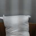 Globon Ultra Soft Down Pillow Queen Size, All Down Filled Bed Pillow for Sleeping, 100% Cotton Shell 500 Thread Count 700 Fill Power, Soft Hotel Collection Down Feather Pillow 20" x 30" 1 Pack