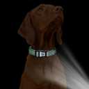 WhoseID Reflective Dog Collar with AirTag Holder,Adjustable Dog Collar with Neoprene Padded & Anti-Lost QR Code Buckle (Green, Small)