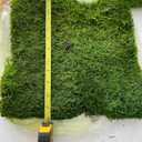 Preserved Sheet Moss Natural Green Decorative Real Natural Green DIY Kit Gardenning Art Wall Decor Florist Decor Easter Table Decor Wedding 2 sq.ft.Green-B