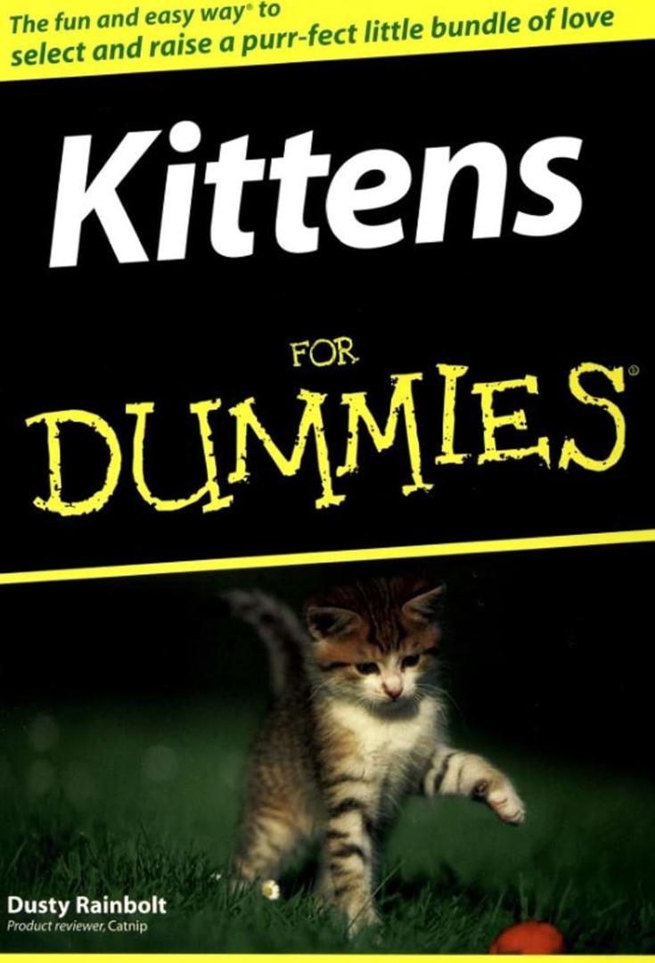 Kittens For Dummies