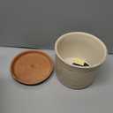 6 Inch Plant Pot: Ceramic Planter with Drainage Hole & Saucer - Flowerpot for Indoor & Outdoor Plants with Separate Tray for Home & Office - Brush Color